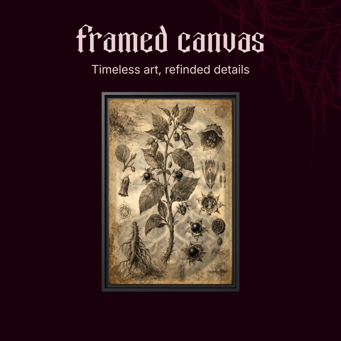 Belladonna shown as a black framed canvas on a deep red background beneath the heading Framed Canvas — Timeless art, refined details.