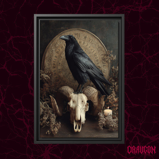 Hrafn shown as a black framed canvas against a deep red marbled backdrop with the Draugon wordmark in the lower corner, displaying the pale raven and ram skull still life.