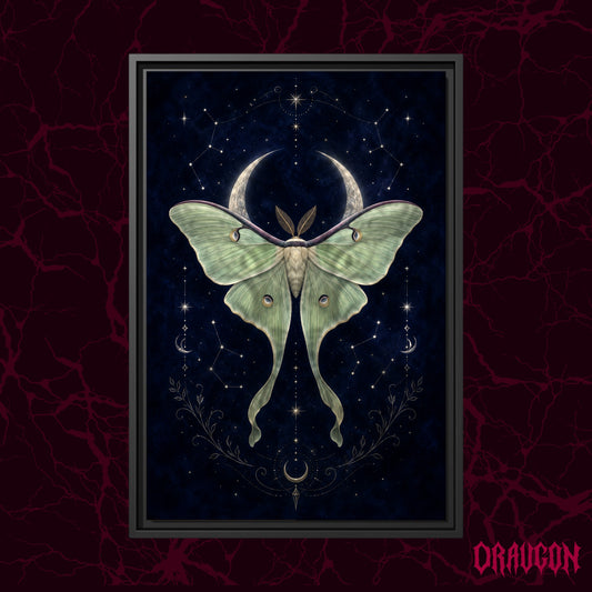 Verdigris shown as a black framed canvas against a deep red marbled backdrop with the Draugon wordmark in the lower corner, displaying the full sage-green luna moth and crescent moon.