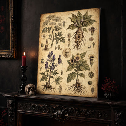 Poison Garden chart canvas leaning on a dark carved mantel beside a lit dark red taper in a black candlestick, a bone-coloured skull, and a small black vase of red berry sprigs, with a gilt-framed painting on the wall alongside.