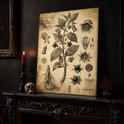 Belladonna specimen canvas leaning on a dark carved mantel beside a lit dark red taper in a black candlestick, a bone-coloured skull, and a small black vase of red berry sprigs, with a gilt-framed painting on the wall alongside.