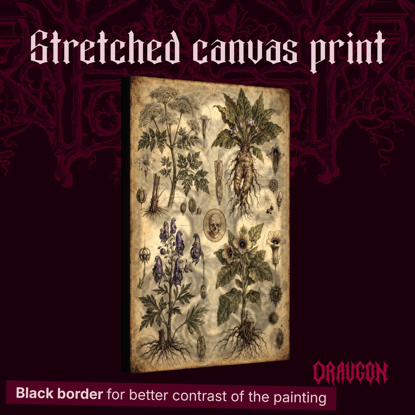 oison Garden shown as a gallery-wrapped stretched canvas angled to reveal its depth and black border, with the Draugon wordmark and the caption Black border for better contrast of the painting.