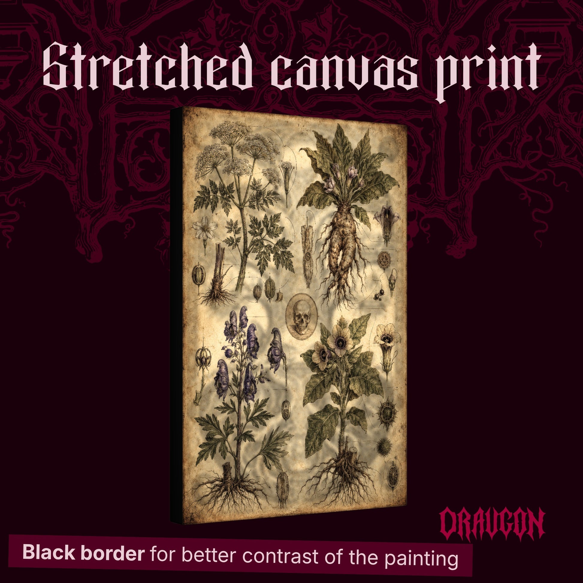 oison Garden shown as a gallery-wrapped stretched canvas angled to reveal its depth and black border, with the Draugon wordmark and the caption Black border for better contrast of the painting.