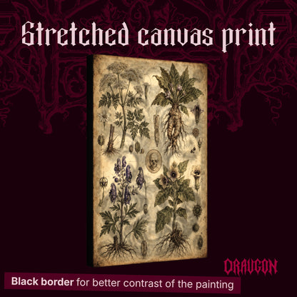 oison Garden shown as a gallery-wrapped stretched canvas angled to reveal its depth and black border, with the Draugon wordmark and the caption Black border for better contrast of the painting.