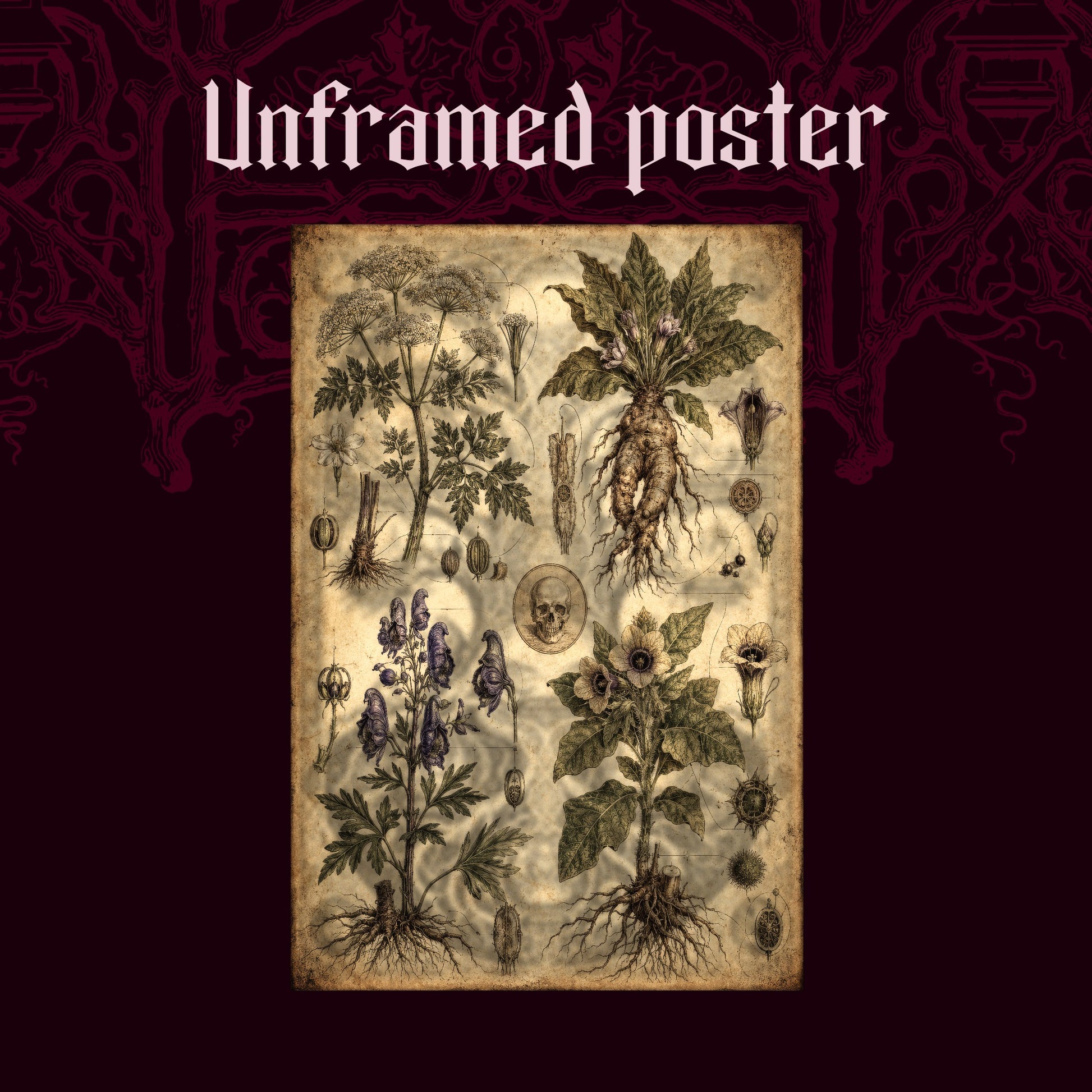 Poison Garden shown as an unframed poster print of the four-plant apothecary chart on a dark red patterned background, labelled Unframed Poster to show the print-only option.