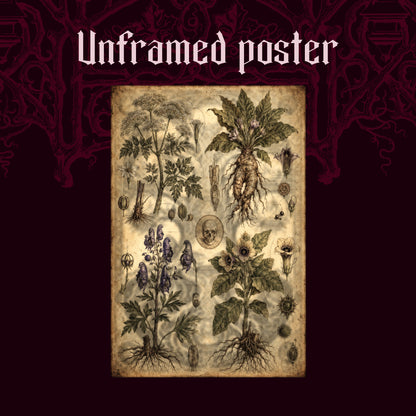 Poison Garden shown as an unframed poster print of the four-plant apothecary chart on a dark red patterned background, labelled Unframed Poster to show the print-only option.